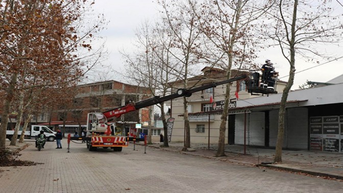 Ağaçlara budama ve bakım yapıldı