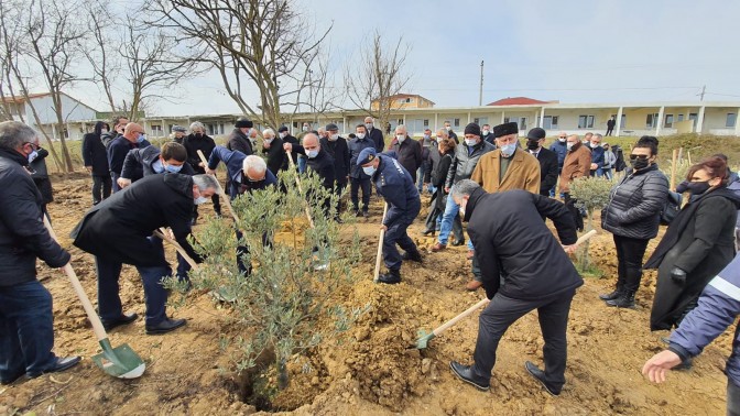 Babalı Sahili’ne Anlamlı Hatıra Ormanı