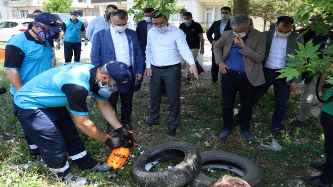 Büyükakın: Sivrisinek mücadelemiz bilimsel şekilde devam ediyor