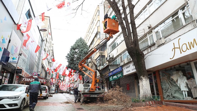 İzmit Belediyesi Ağaçların Sağlığı İçin Hafta Sonu’da Sahada