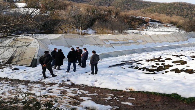 İzmit’te Hasar Gören Seralar Yerinde İncelendi