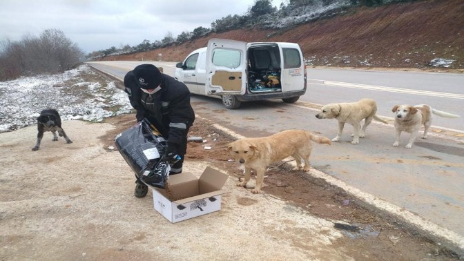 Kar Yağışı Öncesi Sokak Hayvanları Unutulmadı