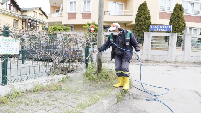 Körfez’de Yabani Otlara Müdahale