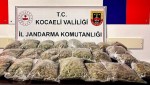 15 kilo skunk ele geçirildi!